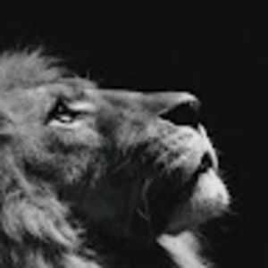 Meet your Posher, Noah